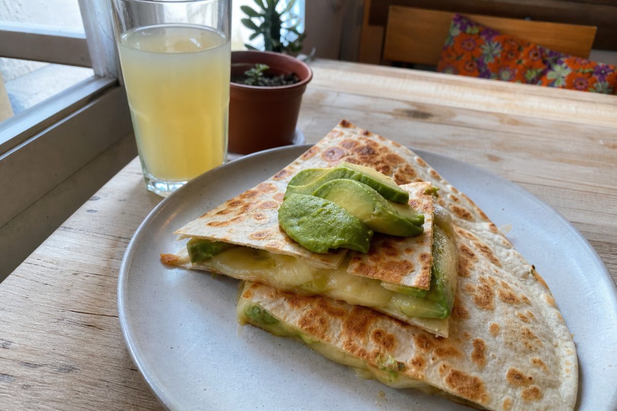 Queso palta